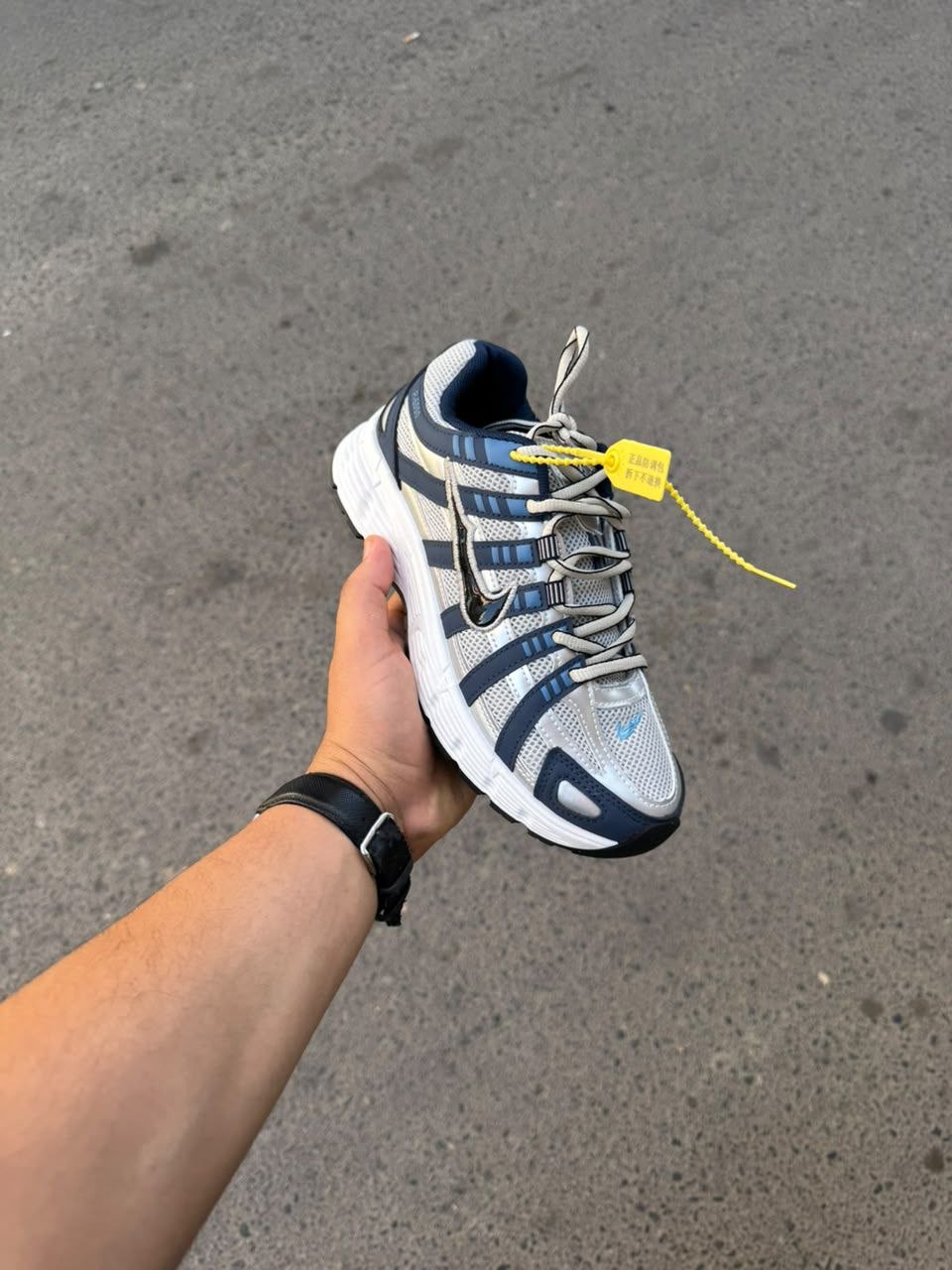 basket P-6000
